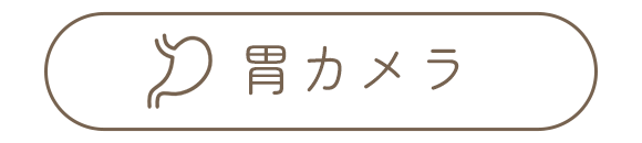 胃カメラ